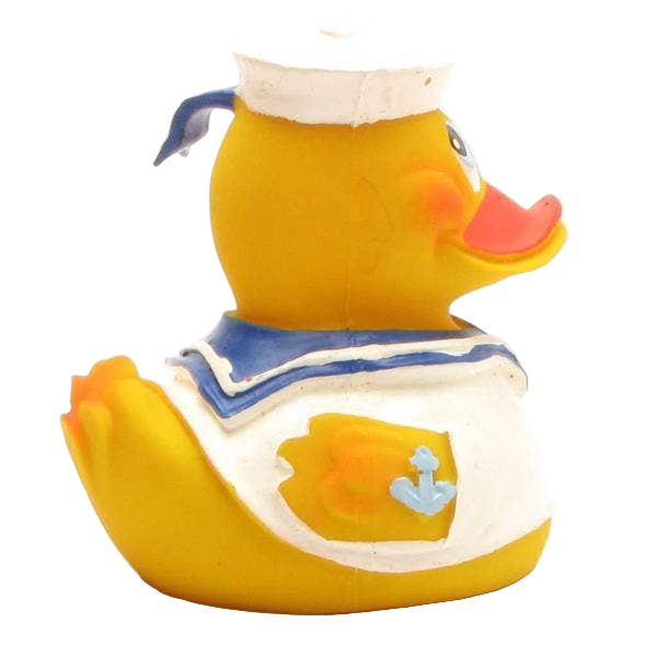 Sea Duck