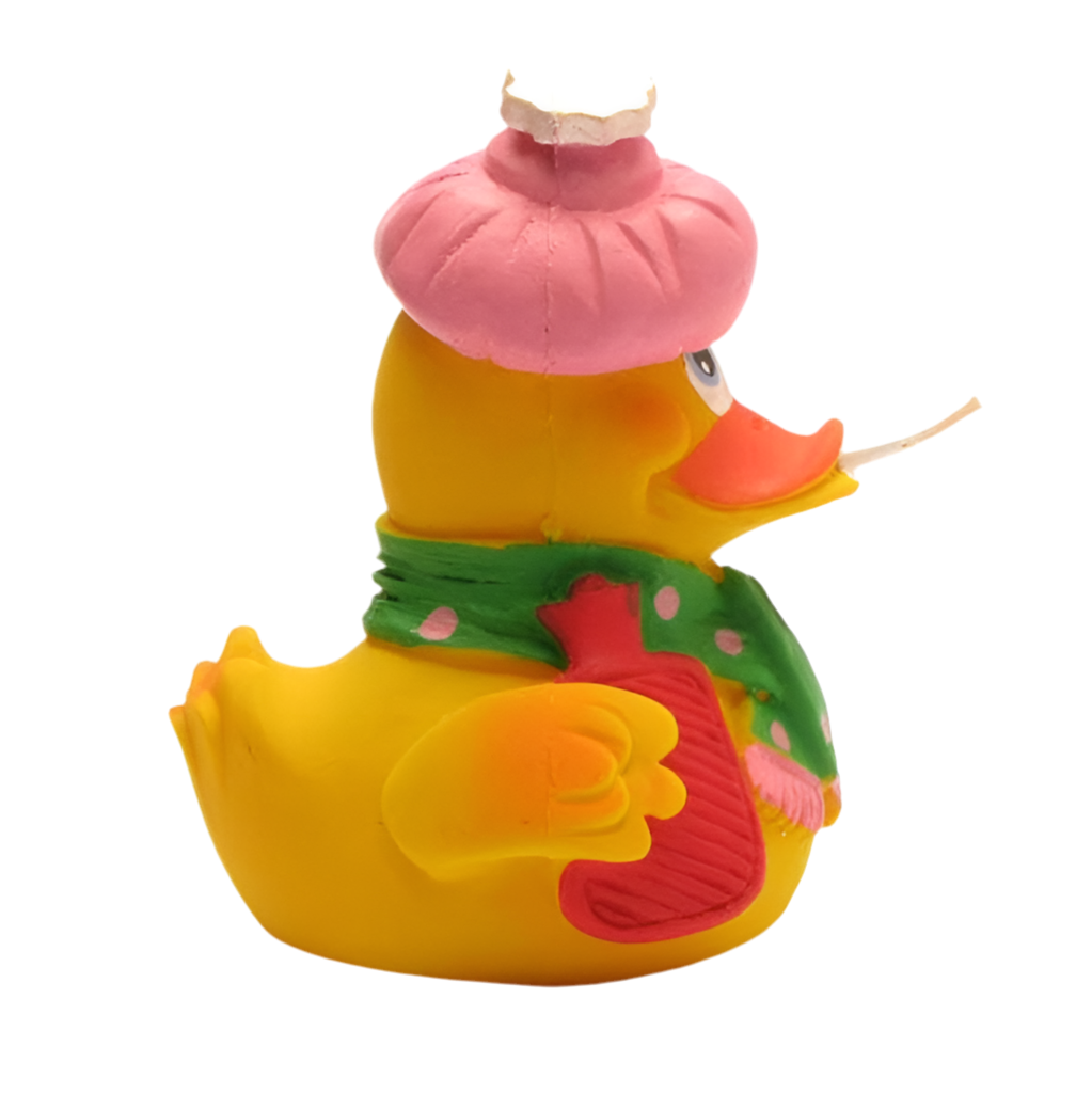 Canard Malade