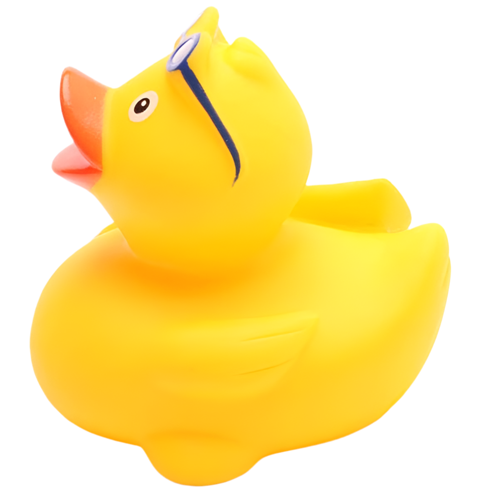 canard-surfeur-duckshop