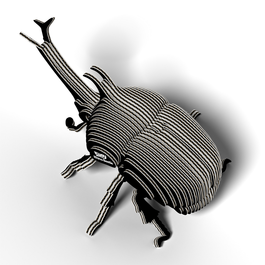 EUGY 3D - Scarabée Rhinocéros
