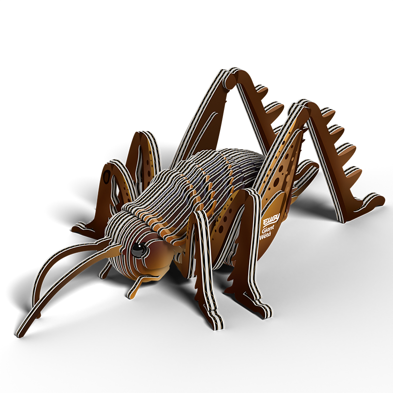 EUGY 3D - Sauterelle