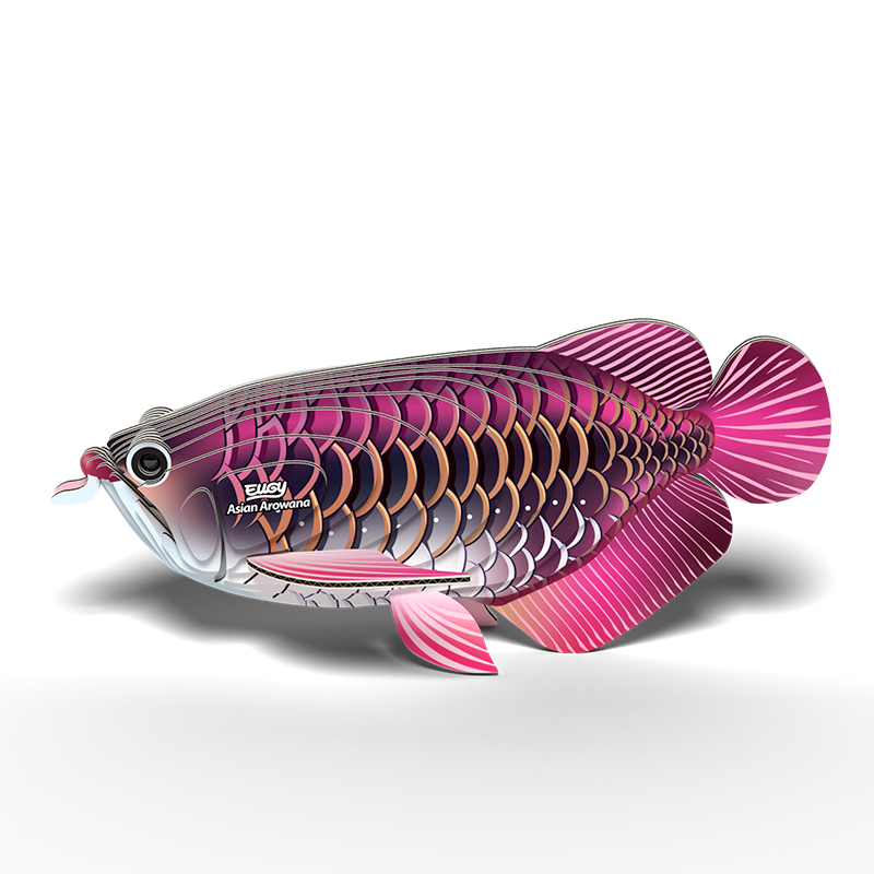 EUGY 3D - Poisson Dragon