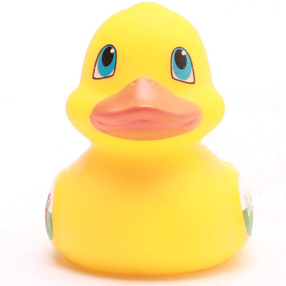 Mini-Walisische Ente
