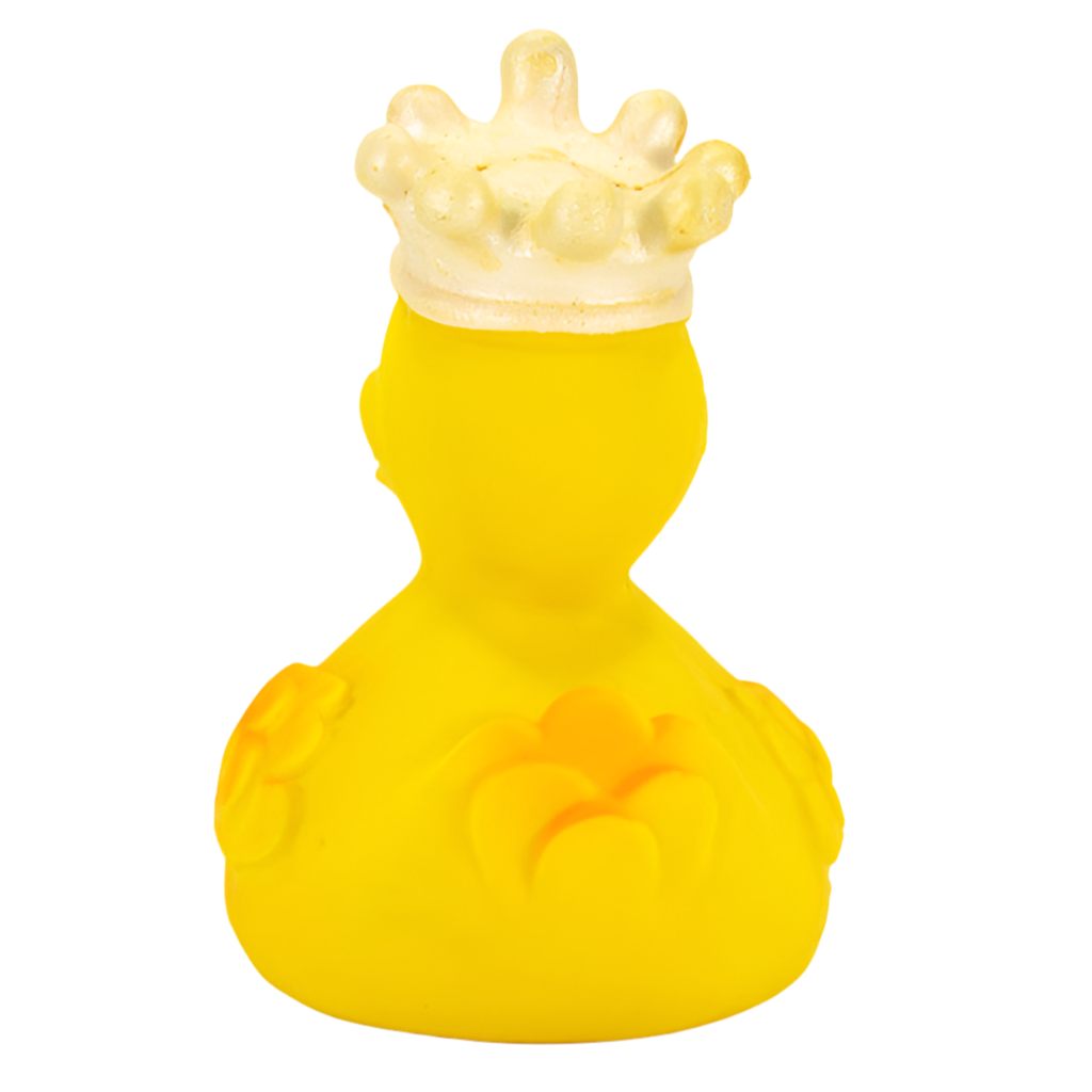 Canard Roi