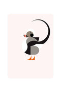 Carte postale avec canard à longue queue