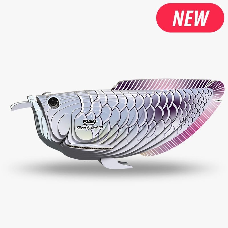 EUGY 3D - Arowana Argenté