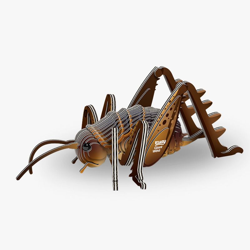 EUGY 3D - Sauterelle