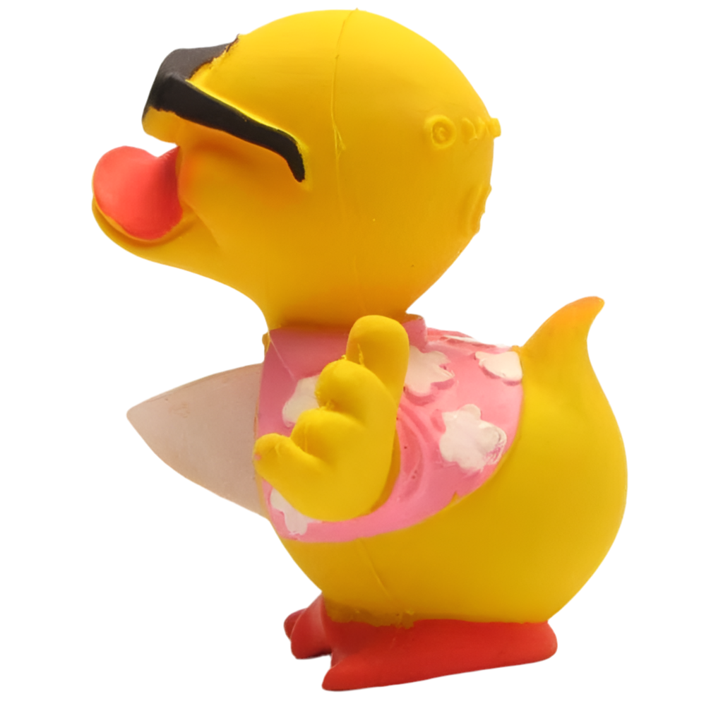 Canard Surfeur