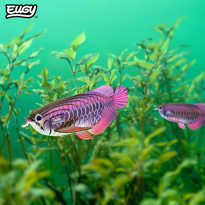 EUGY 3D - Poisson Dragon