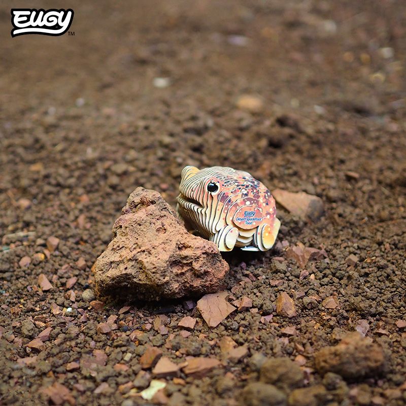 EUGY 3D - Crapaud Du Désert