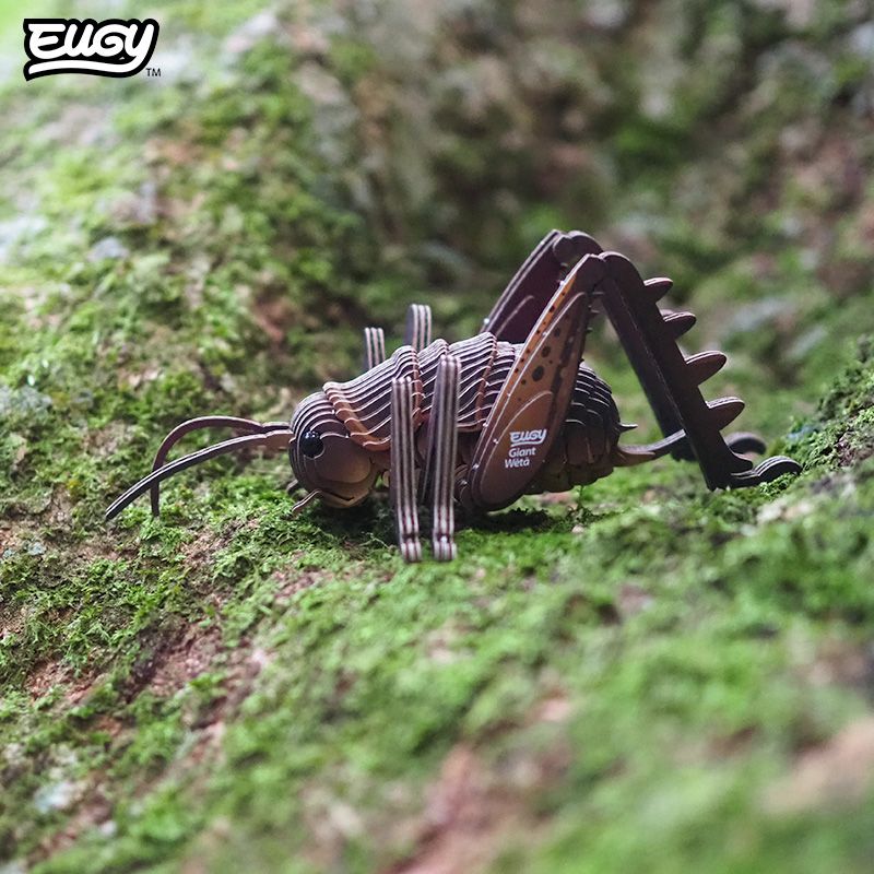 EUGY 3D - Sauterelle