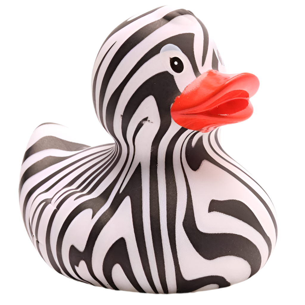 canard zebre
