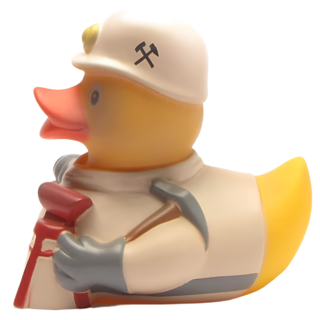 Duck Minor