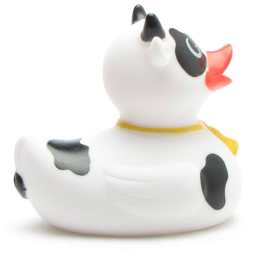 Canard Vache noire et blanche