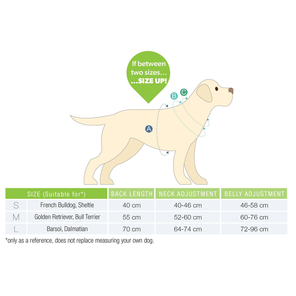 Hundemantel - Original Ducklings