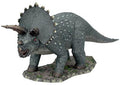 Triceratops