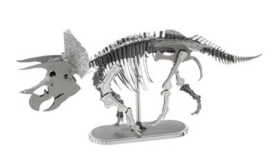 Triceratops Squelette