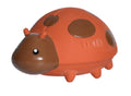 Mon Premier Insecte Coccinelle
