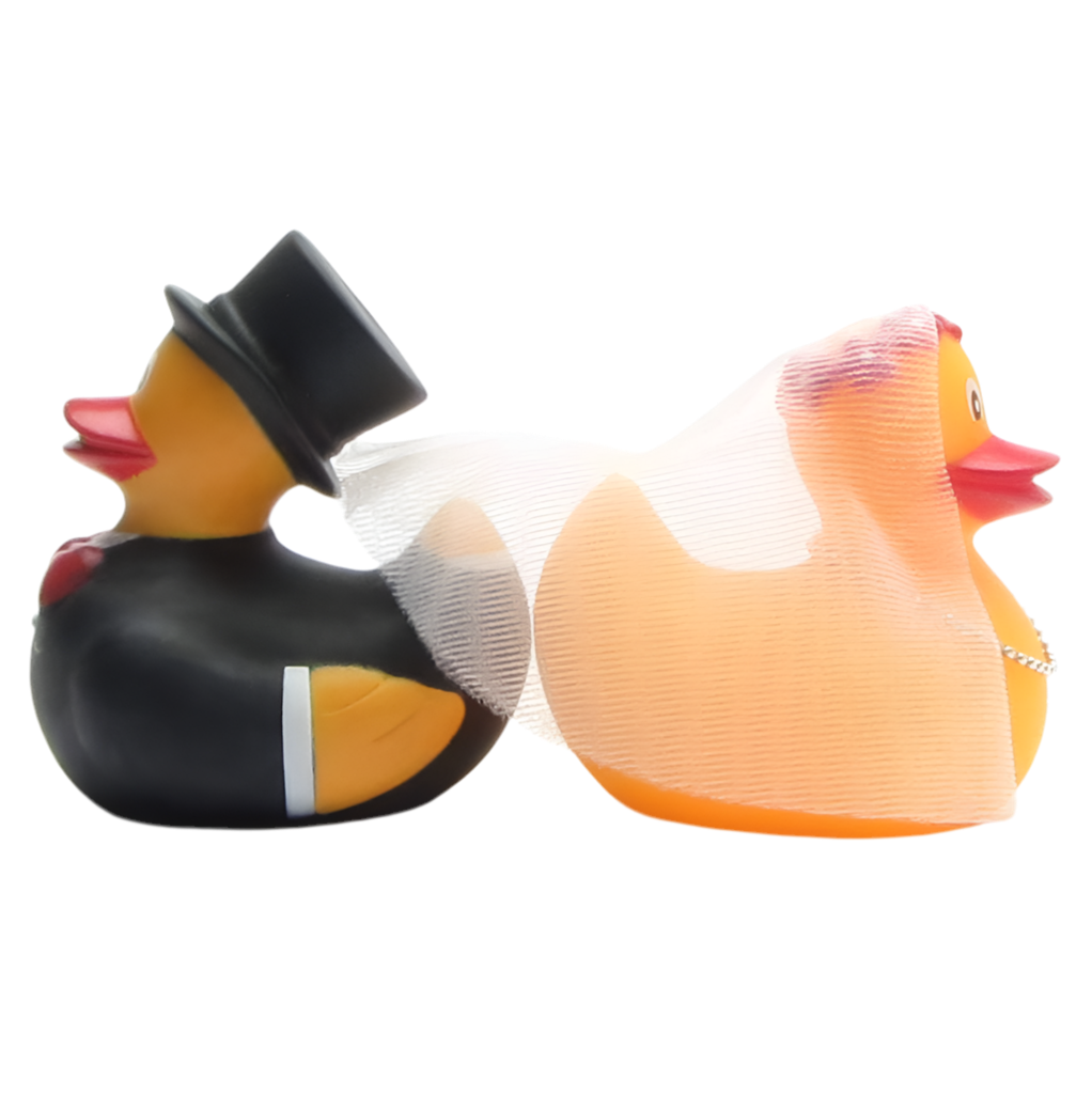 Married Duck Couple