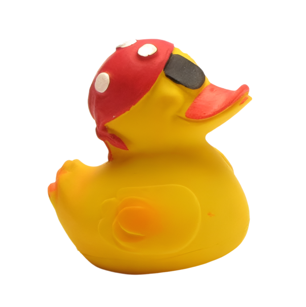 Piraten-Ente