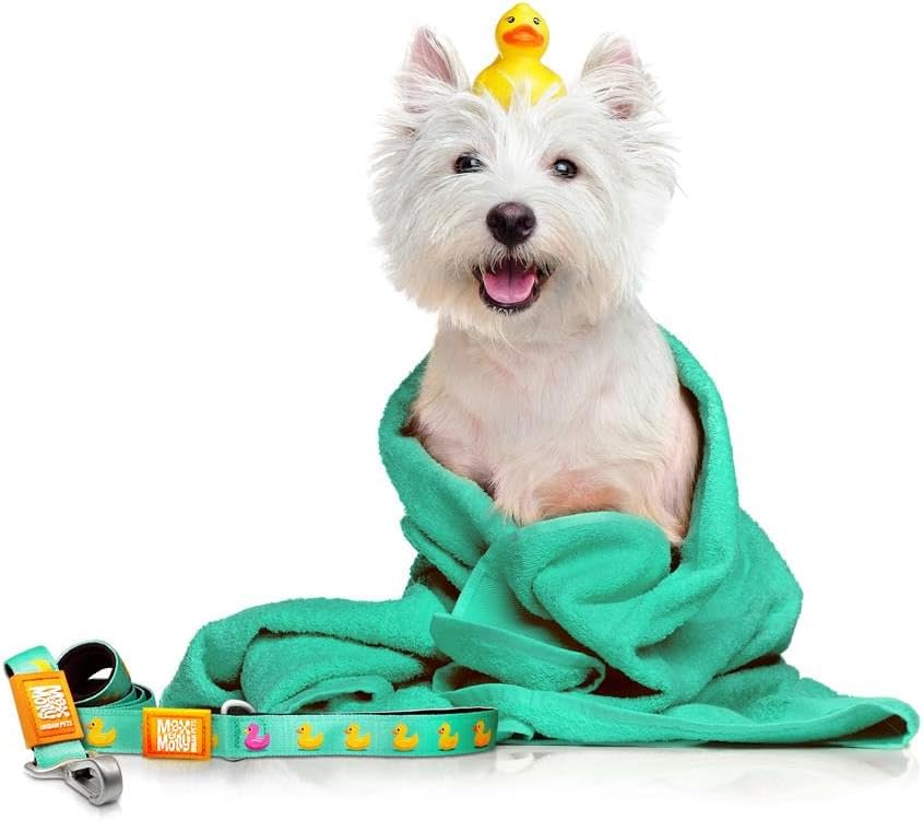 Kurz und bündig – Enten