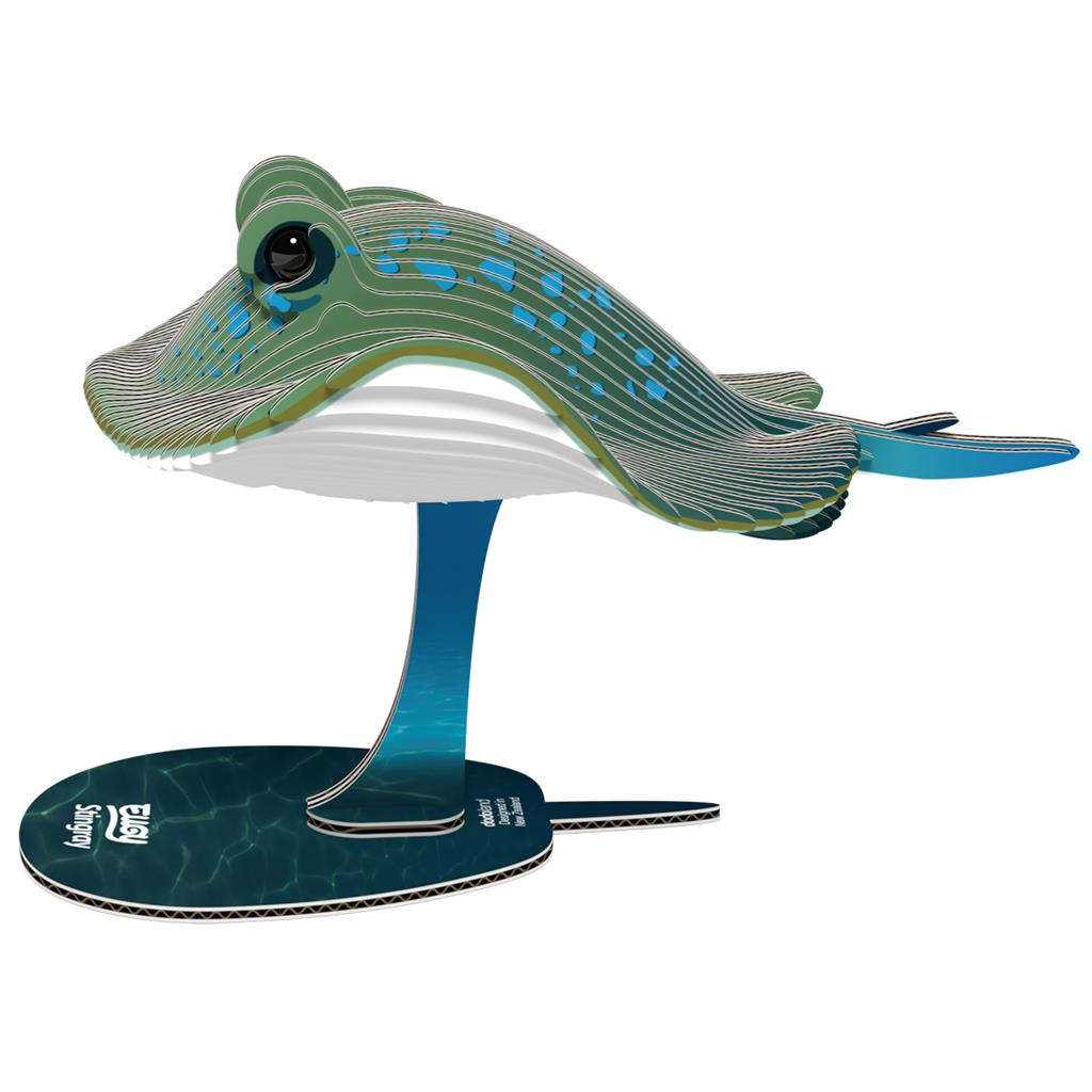 EUGY 3D - Raie
