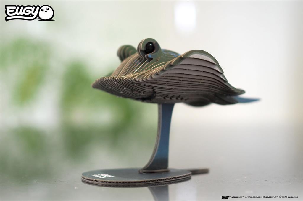 EUGY 3D - Raie