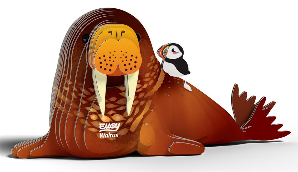 EUGY 3D - Morse
