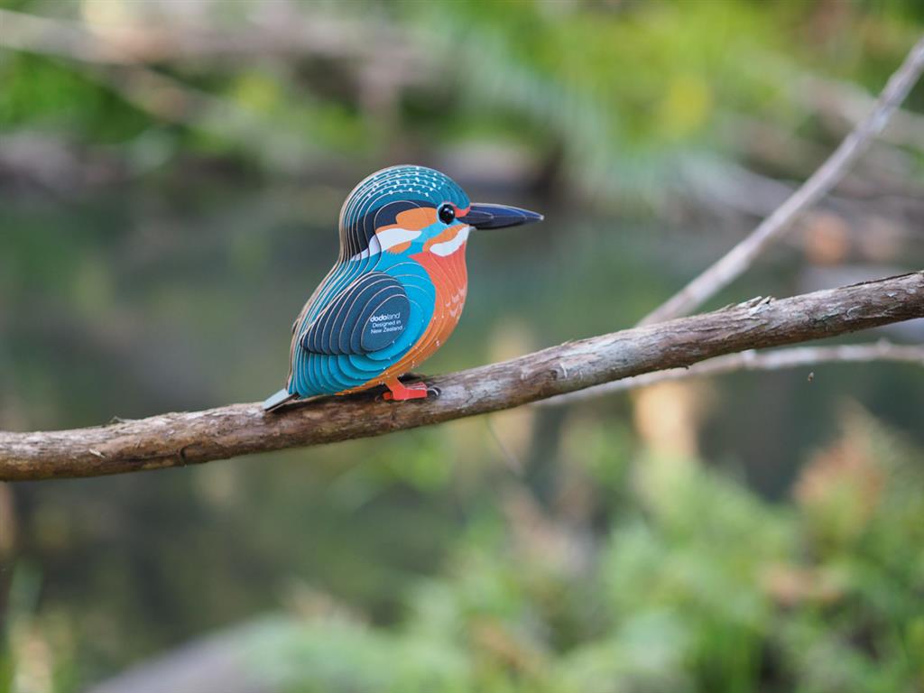 EUGY 3D - Martin-Pêcheur