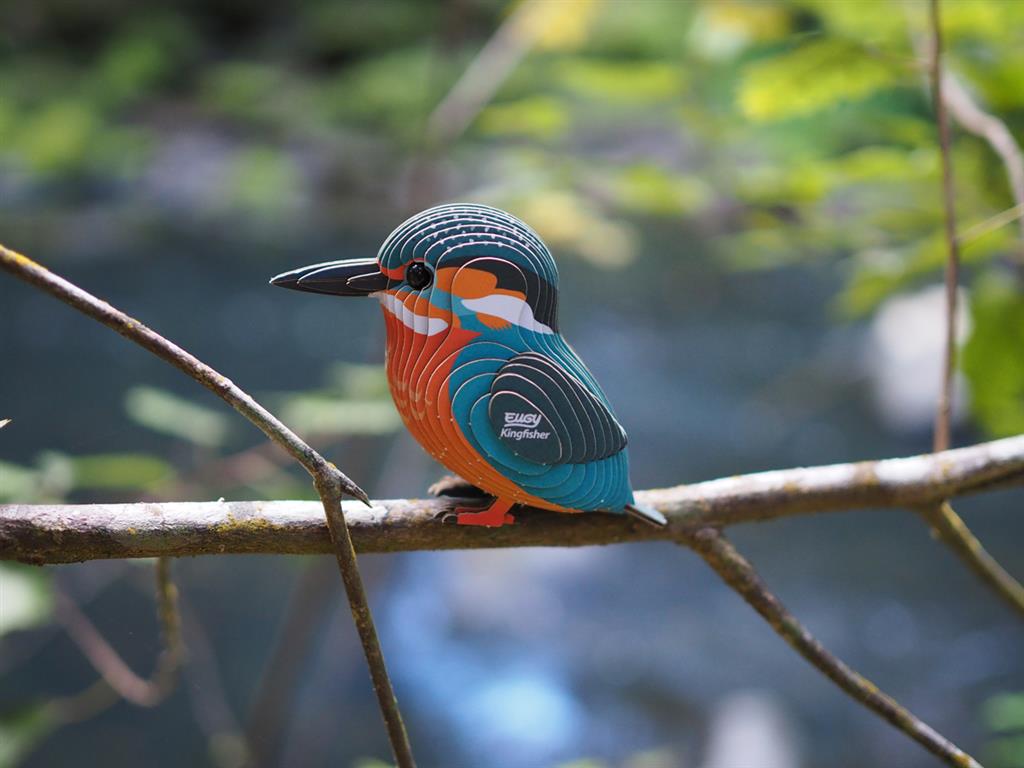 EUGY 3D - Martin-Pêcheur