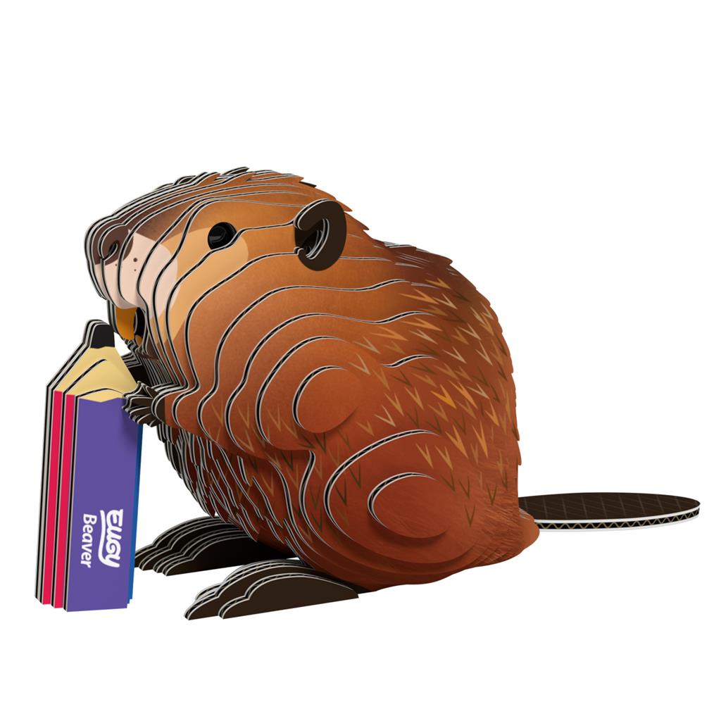 EUGY 3D - Castor