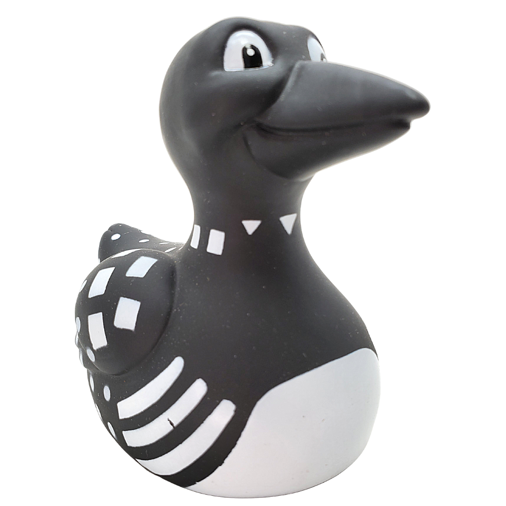 Ente Claire der Seetaucher