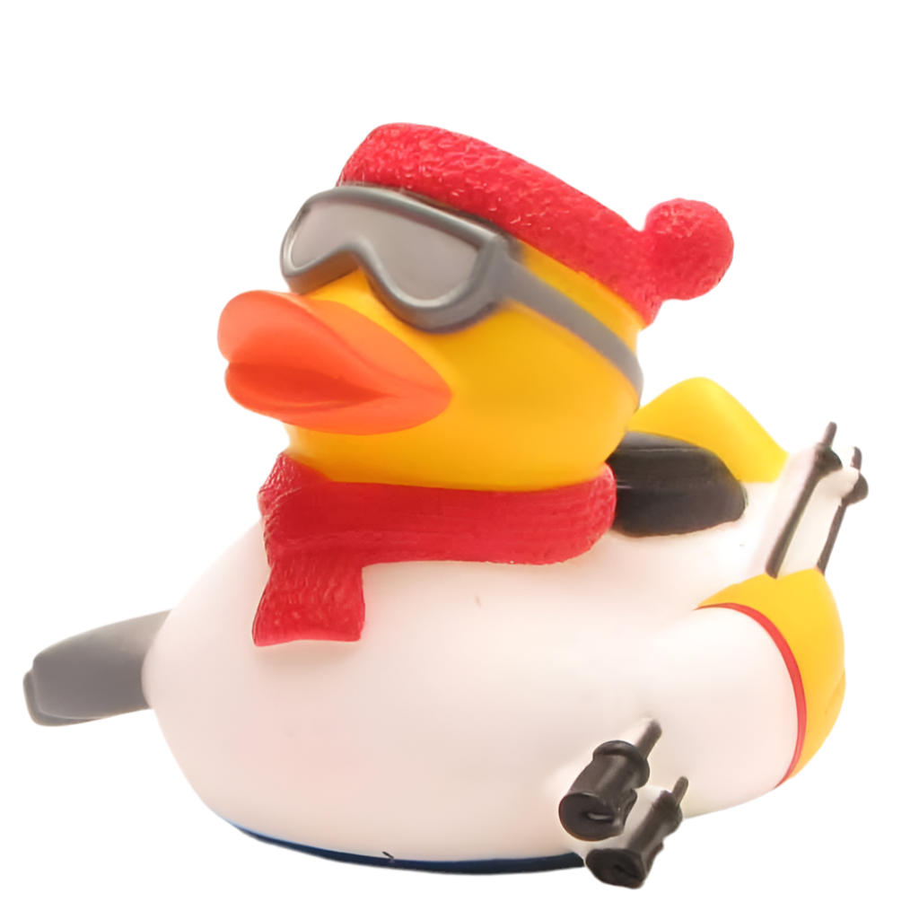 Skiing Duck