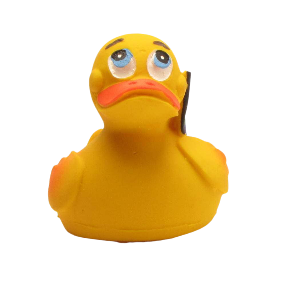 Enten-Stolz