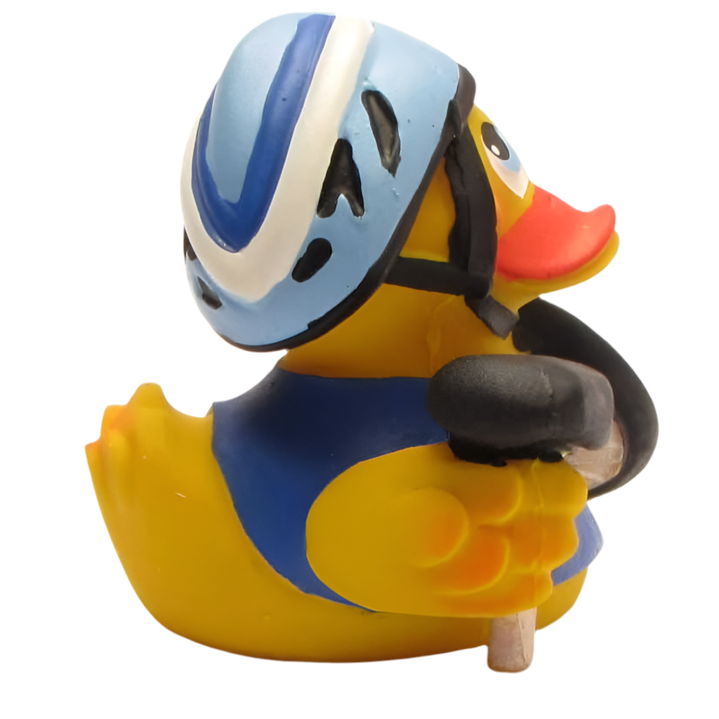 Ente Radfahrer