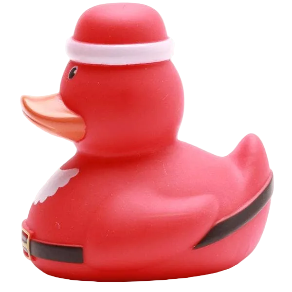 Ente Weihnachtsmann
