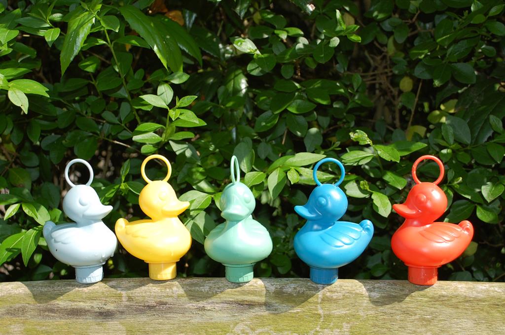 Entenfischente - ECO