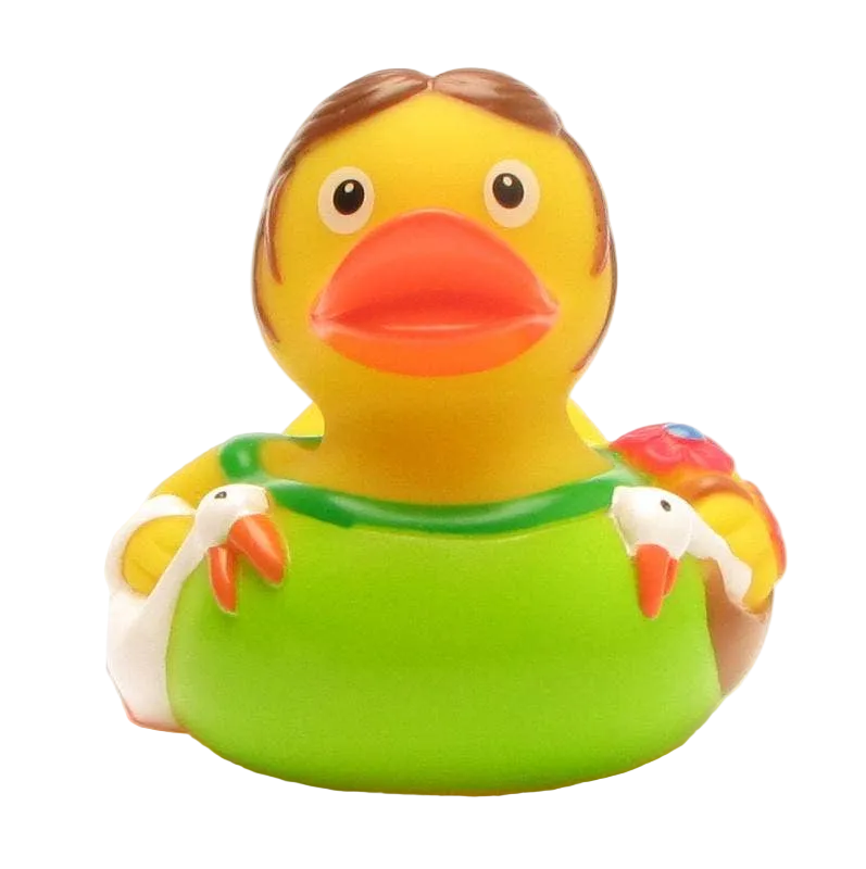 Enten-Lison mit Gänsen