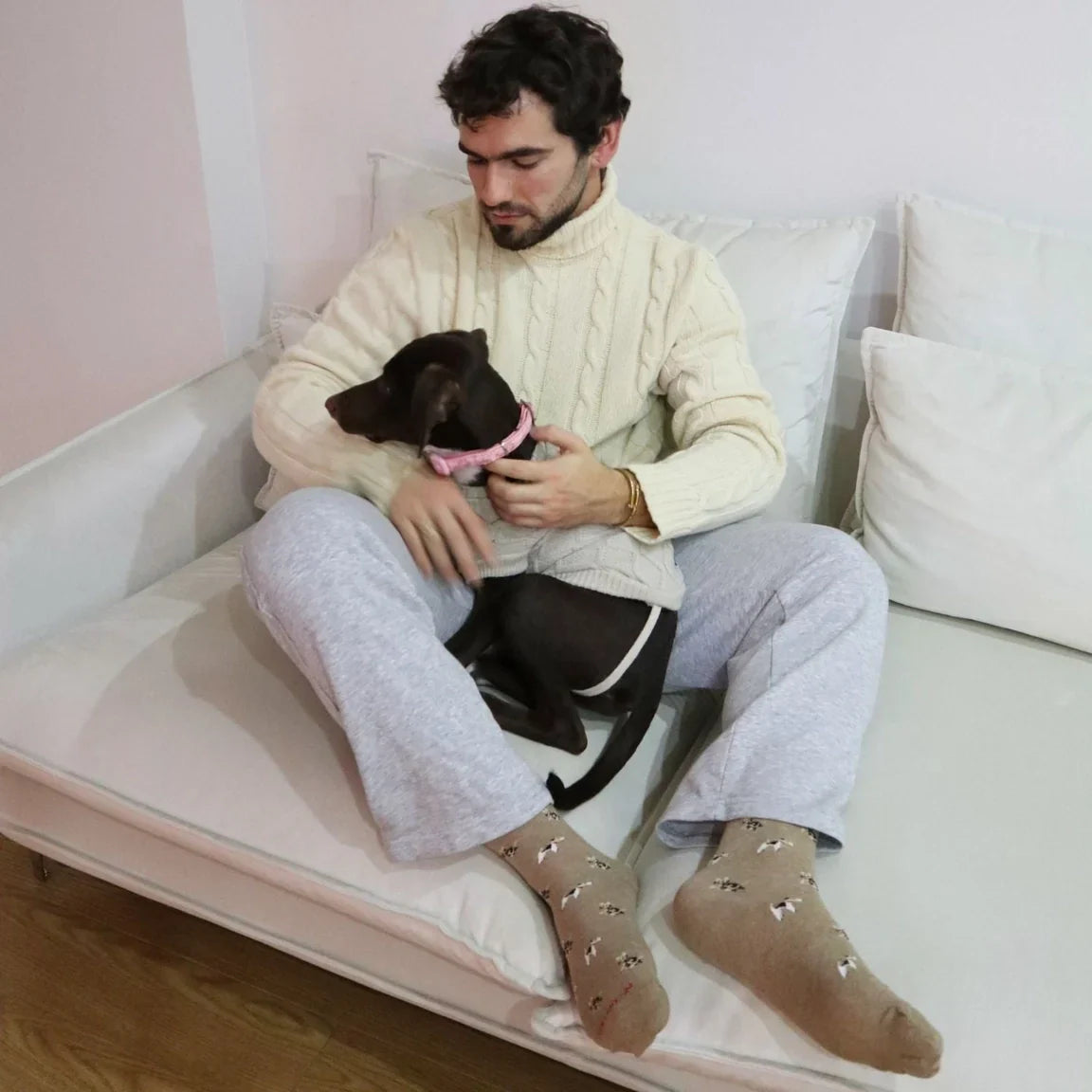 Chaussettes Animaux de compagnie