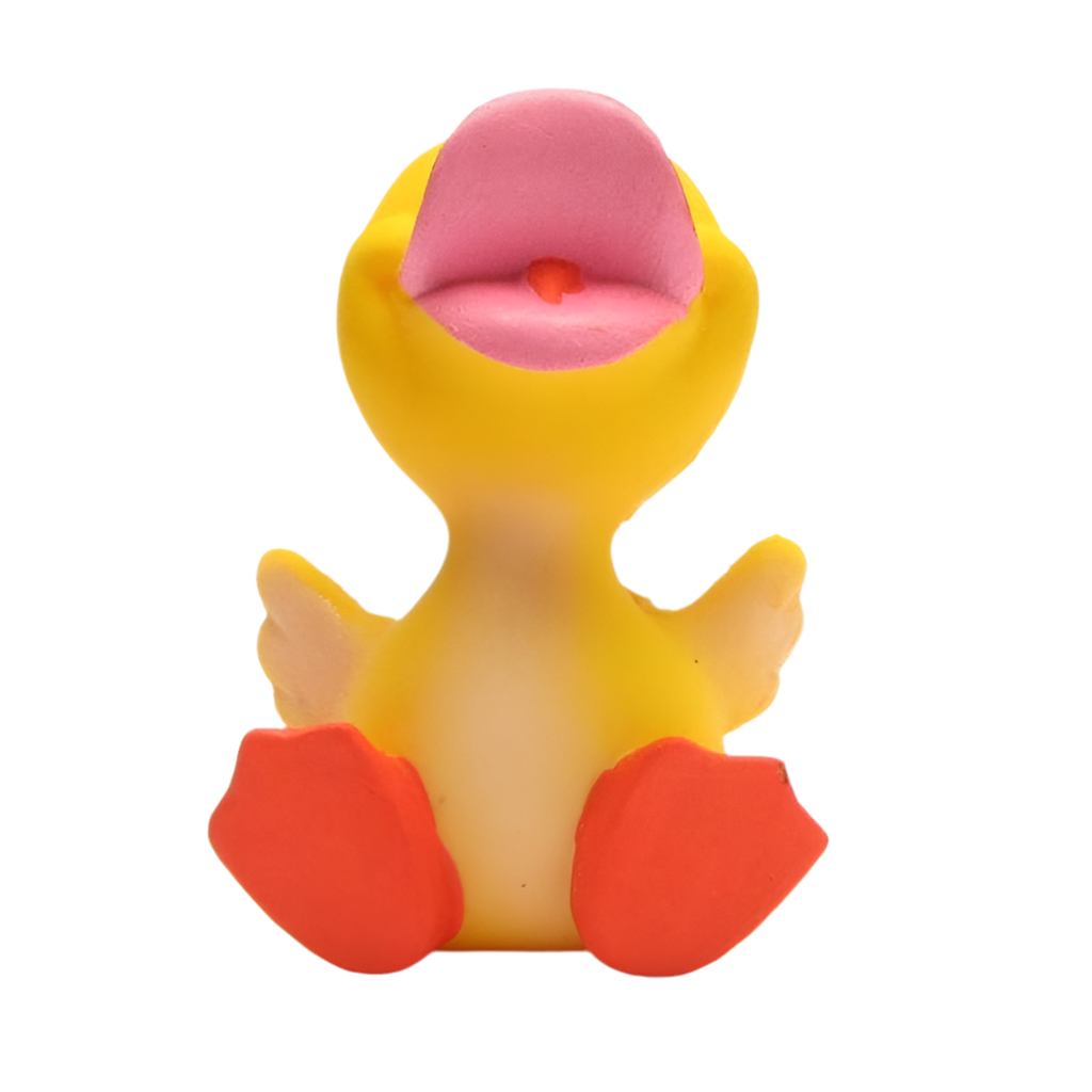 Entenbaby