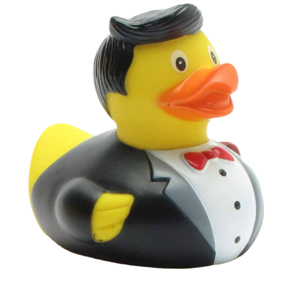 Ballroom Cavalier Duck