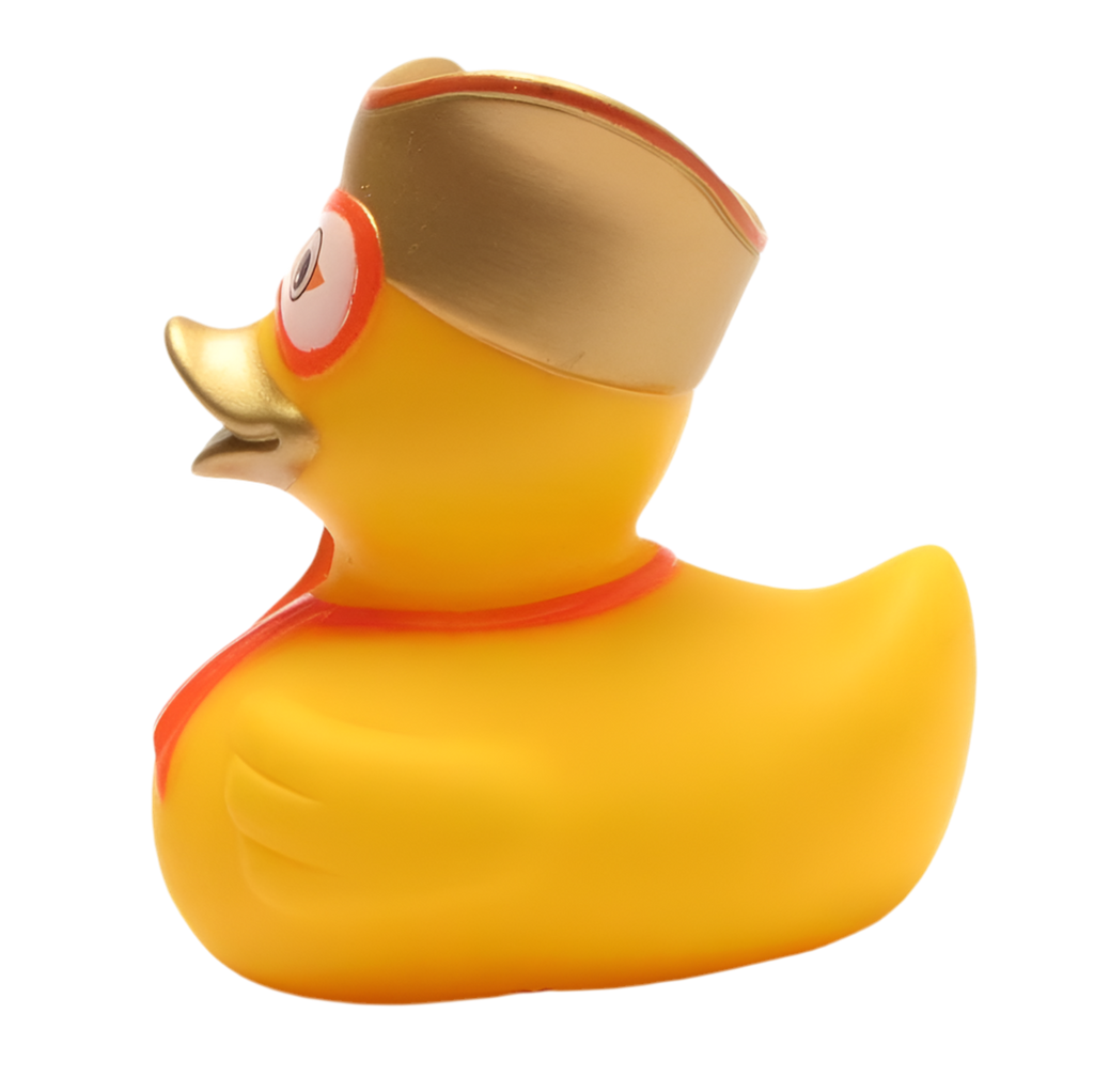 Canard Carnaval de Venise Homme