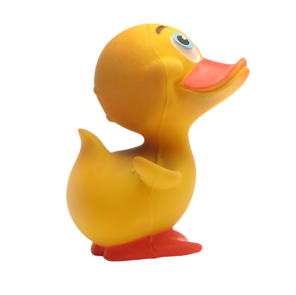 Fröhliche Ente