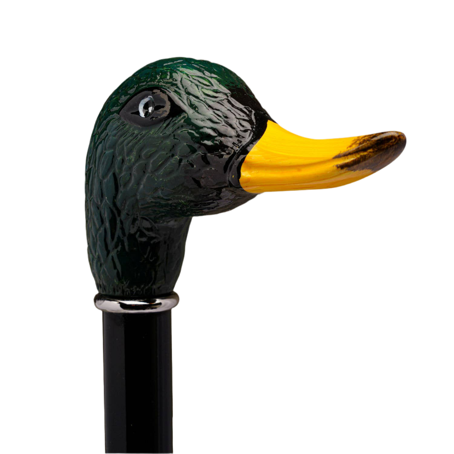 Canne Canard Colvert