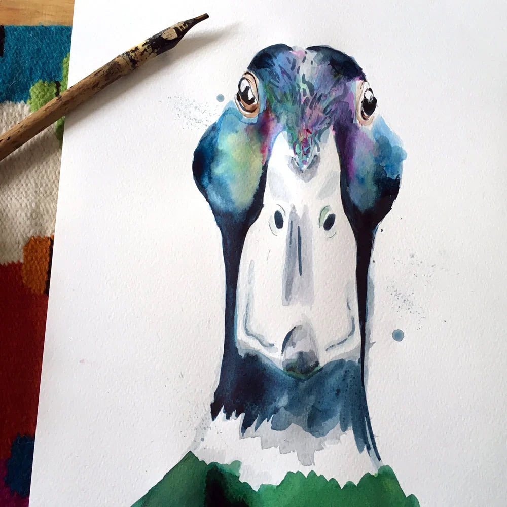 carte-de-voeux-aquarelle-canard-colvert-kate-moby