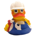 Canard Bricoleur
