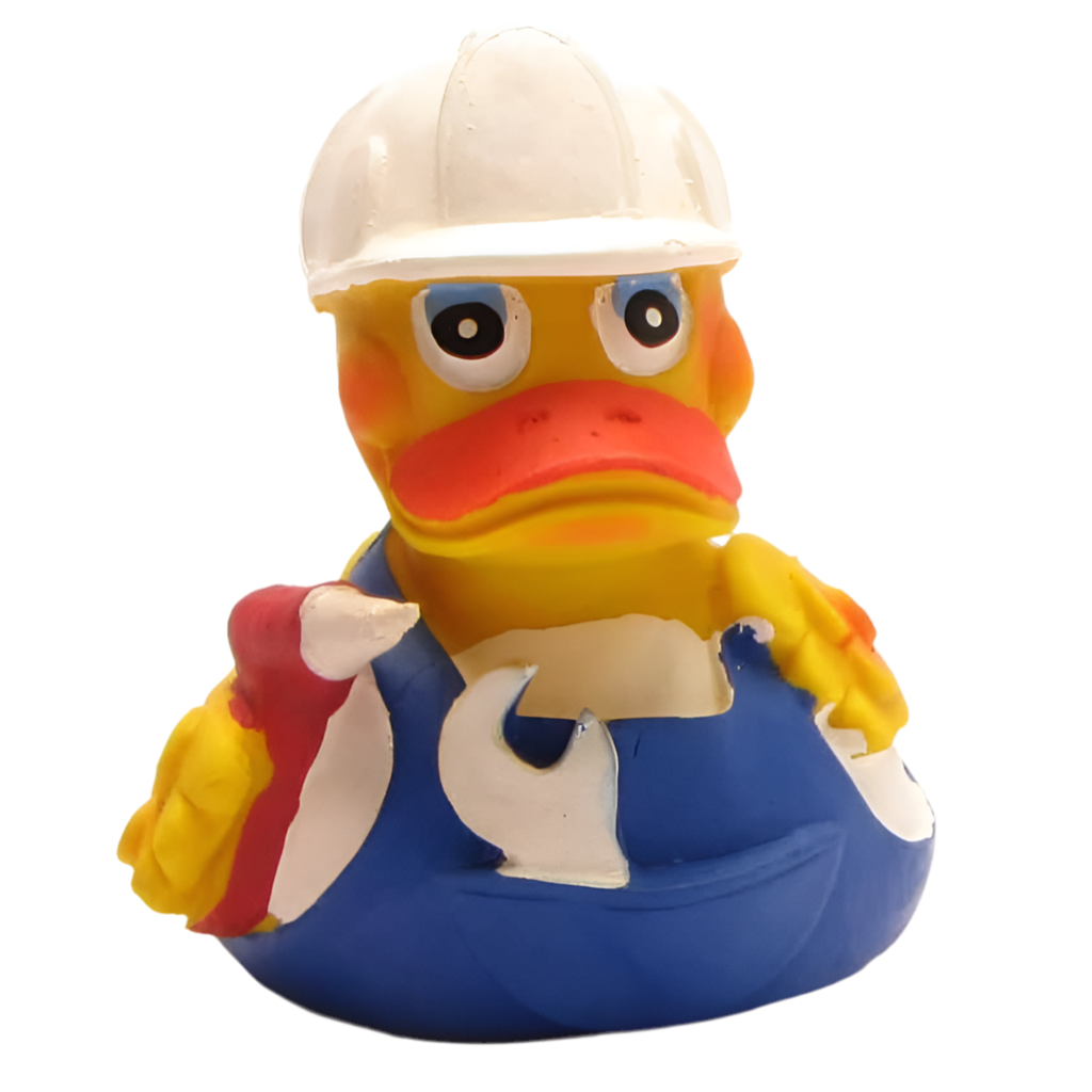 Canard Bricoleur