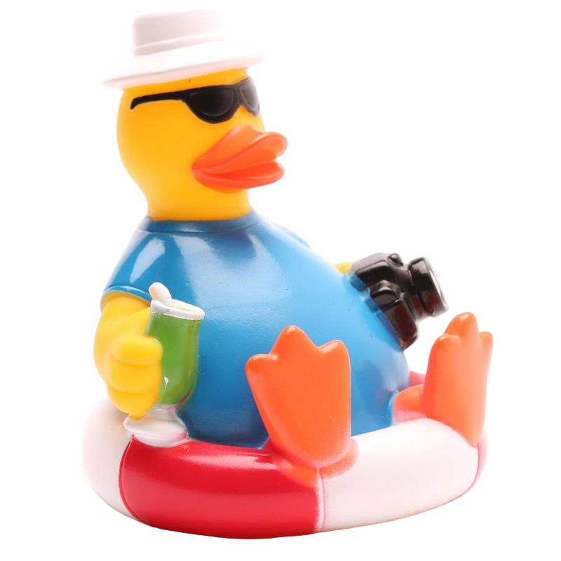 Touristenente auf einer Boje