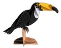 Modèle En Papier 3D - Toucan