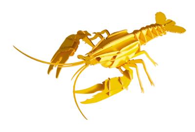 Modèle En Papier 3D - Homard